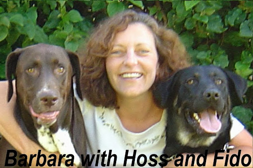 Barbara's Pet Care - A Petsitting Service