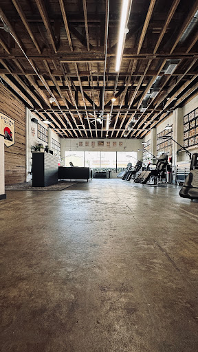 Explore veterinary tattoo ideas, creative tattoo ideas in Lakeland, available at Black Swan Tattoo