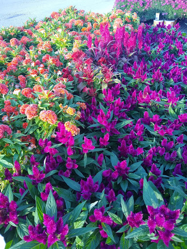 Home Improvement Store «The Home Depot», reviews and photos, 6625 Grand Ave, Gurnee, IL 60031, USA