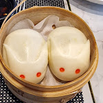 Photo n°4 de l'avis de Andrea.o fait le 04/02/2023 à 15:11 sur le  Oishy Ristorante Legnago à Legnago