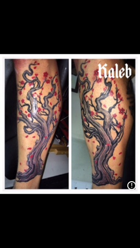 Tattoo Shop «A Touch Of Color», reviews and photos, 1212 Dixwell Ave, Hamden, CT 06514, USA