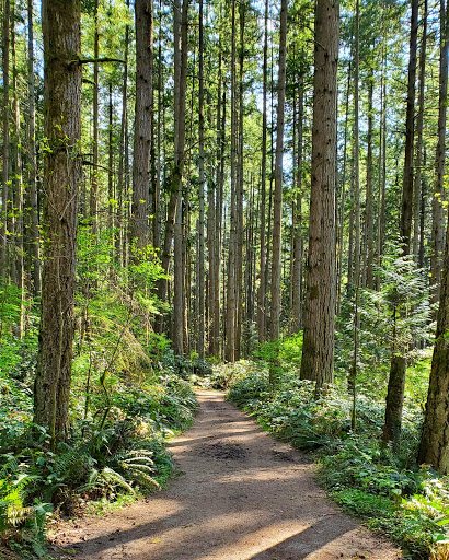 Bridle Trails State Park