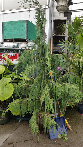 Shopping Mall «Linwood Plaza Shopping Center», reviews and photos, 158 Linwood Dr, Fort Lee, NJ 07024, USA