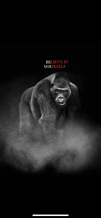 Steel City - Photo 8 - Car repair in McAllen, TX, McAllen