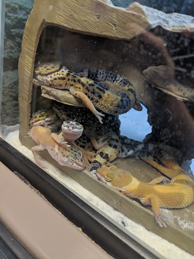 Pet Supply Store «Petco Animal Supplies», reviews and photos, 444 N Santa Cruz Ave, Los Gatos, CA 95030, USA