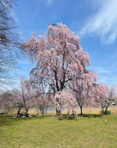 Park «Marine Park», reviews and photos, Fillmore Ave, Brooklyn, NY Brooklyn, USA