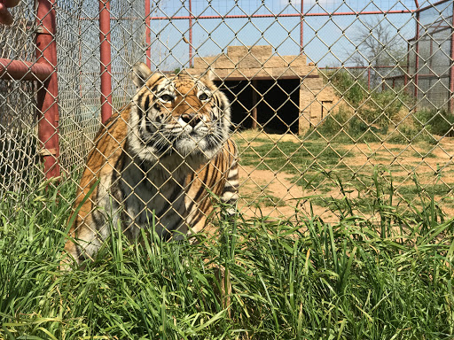 Research Institute «Center For Animal Research and Education (CARE)», reviews and photos, 245 Co Rd 3422, Bridgeport, TX 76426, USA