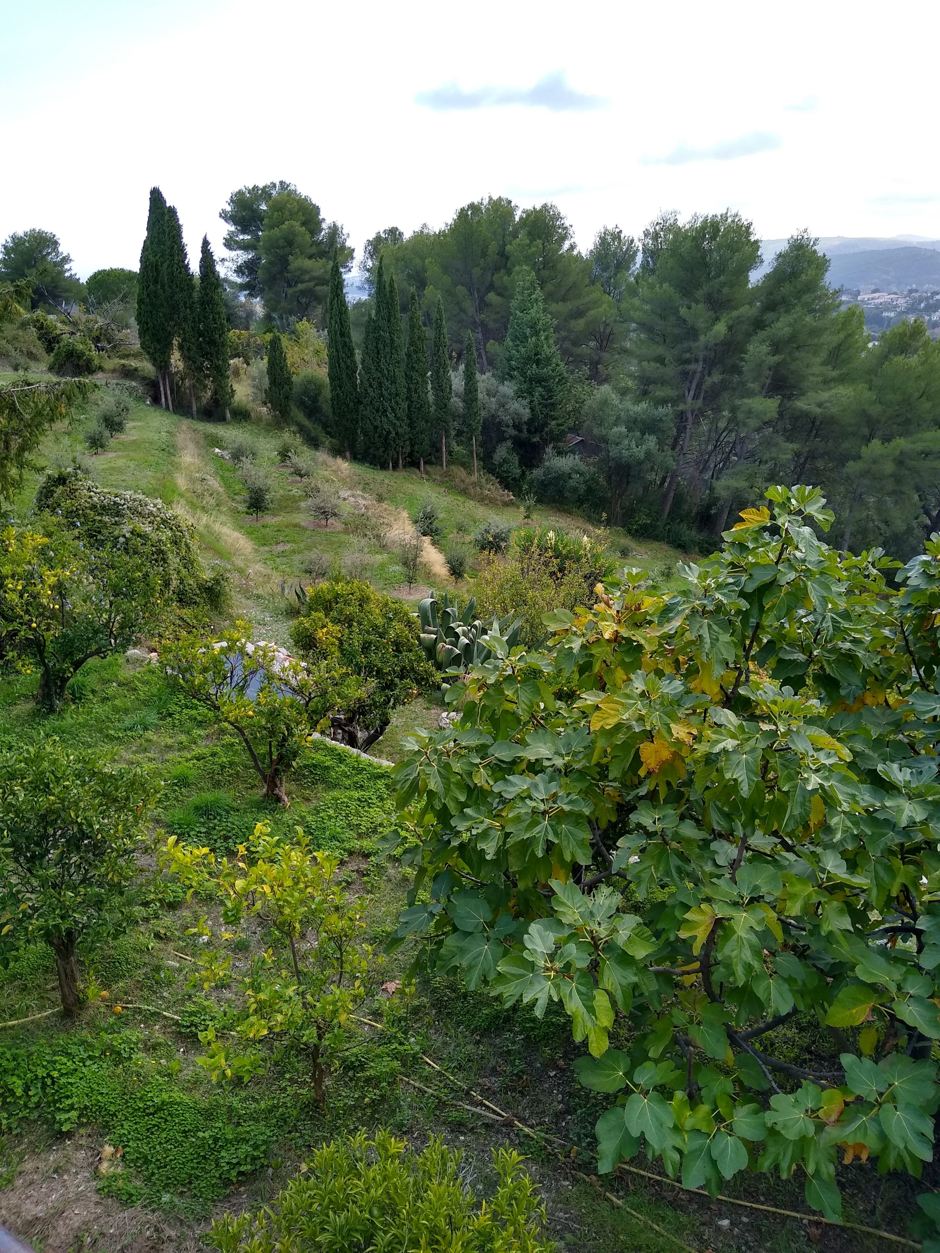 Photo n° 2 de l'avis de Arnaud.A fait le 21/10/2020 à 16:00