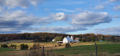 Produce Market «Buckland Farm Market», reviews and photos, 4484 Lee Hwy, Warrenton, VA 20187, USA