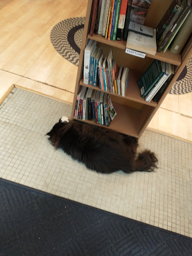 Book Store «Kazoo Books II», reviews and photos, 2413 Parkview Ave, Kalamazoo, MI 49008, USA