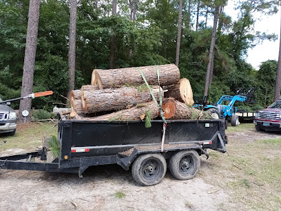 Adam's tree and stump