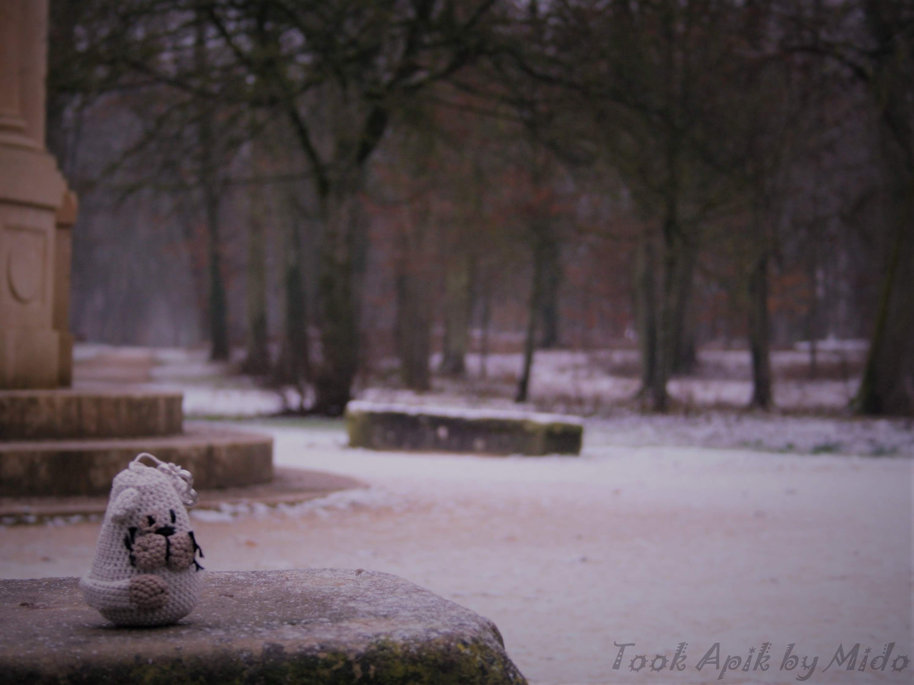 Photo n° 11 de l'avis de Mi.o fait le 26/06/2019 à 06:26