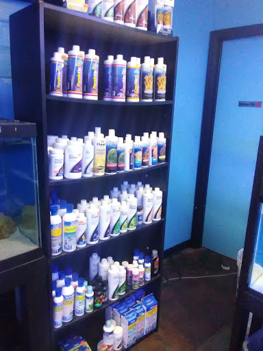Tropical Fish Store «Oceanside Aquariums», reviews and photos, 2176 N Mt Juliet Rd #105, Mt Juliet, TN 37122, USA