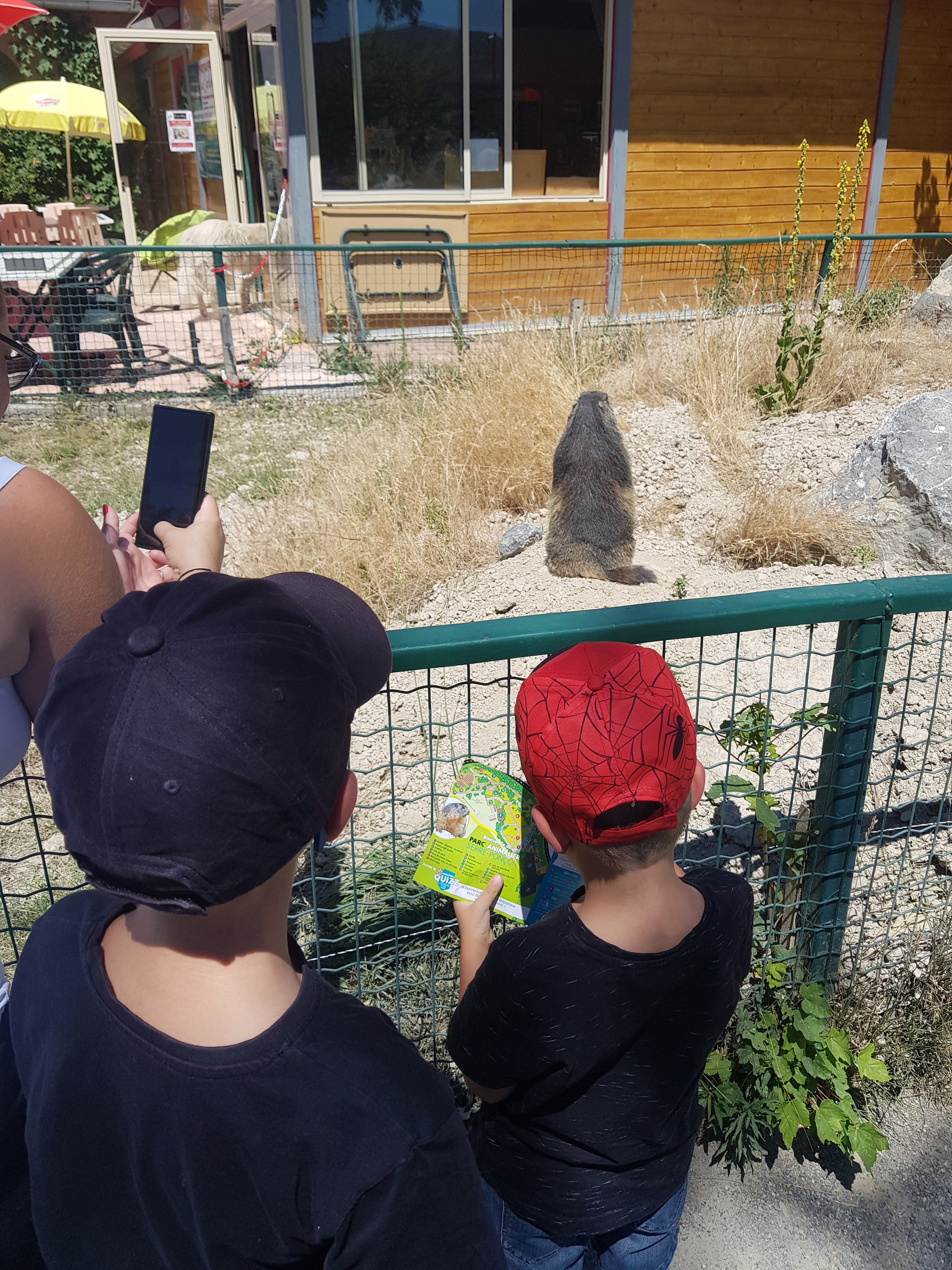 Photo n° 4 de l'avis de ROMAIN.A fait le 14/07/2022 à 16:35