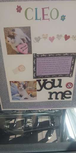 Pet Supply Store «Pet Supplies Plus», reviews and photos, 1616 Precinct Line Rd, Hurst, TX 76054, USA