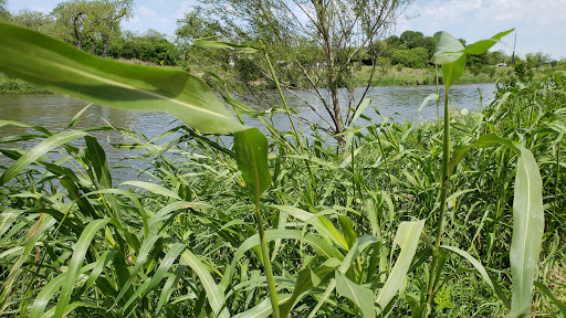 National Park «San Antonio Missions National Historical Park», reviews and photos, 6701 San Jose Dr, San Antonio, TX 78214, USA