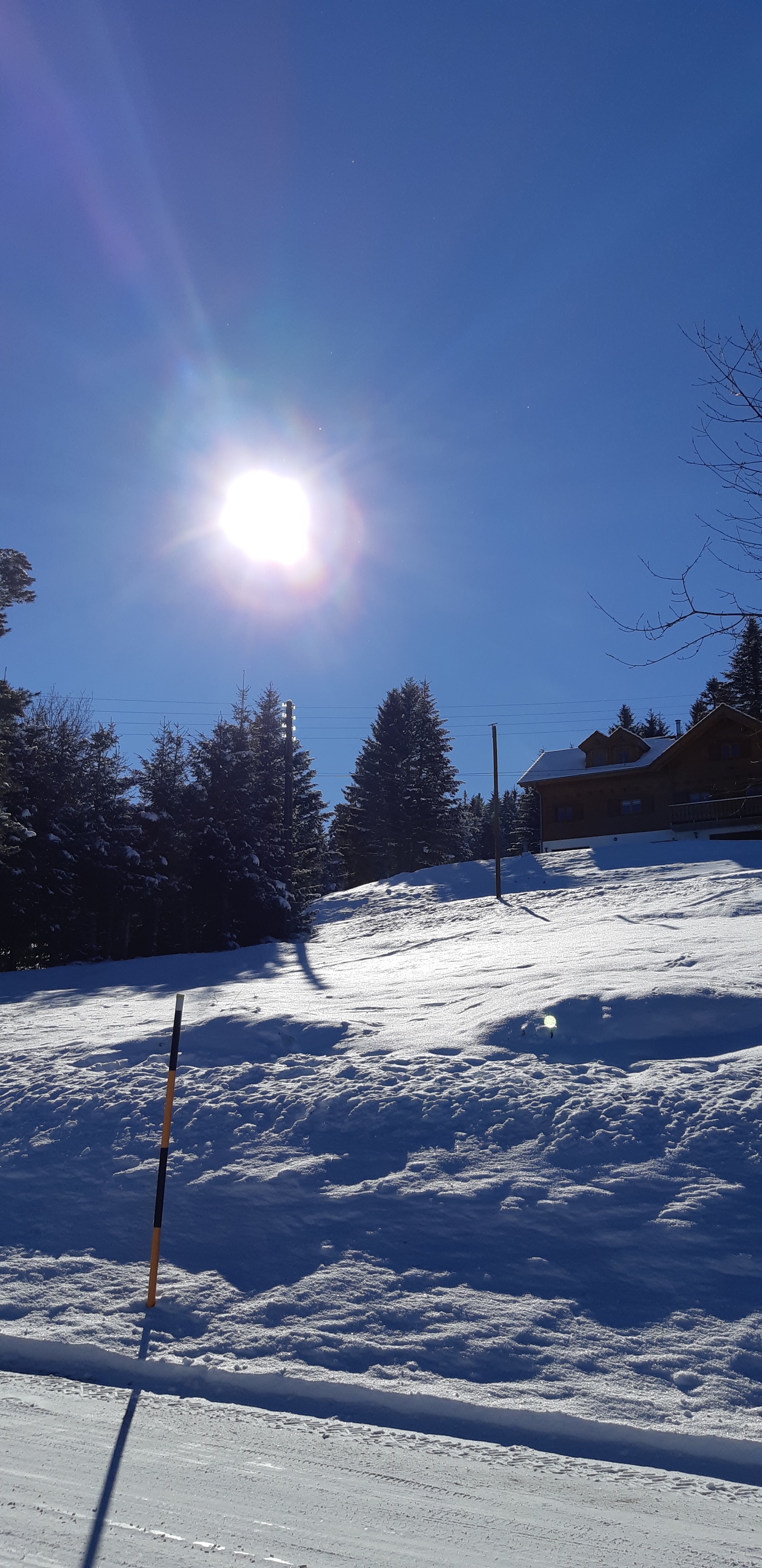 Photo n° 34 de l'avis de Patricia.t fait le 24/12/2017 à 19:48