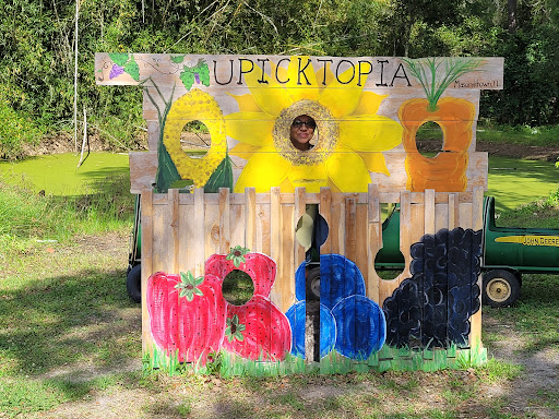 Winery «Masaryk Winery», reviews and photos, 19125 Phillips Rd, Masaryktown, FL 34604, USA