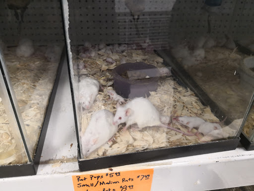 Pet Store «Precious Pets III», reviews and photos, 1091 US-130, Burlington, NJ 08016, USA