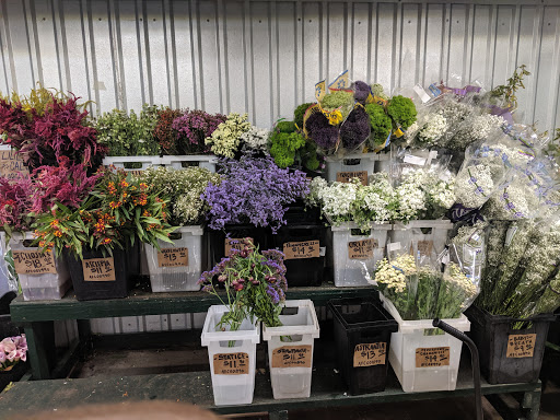 Florist «Austin Flower Co», reviews and photos, 1612 W 35th St, Austin, TX 78703, USA