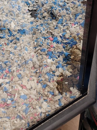 Pet Supply Store «Petco Animal Supplies», reviews and photos, 405 W Loop 281, Longview, TX 75605, USA