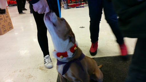 Pet Supply Store «PetSmart», reviews and photos, 8695 Park Meadows Center Dr, Lone Tree, CO 80124, USA