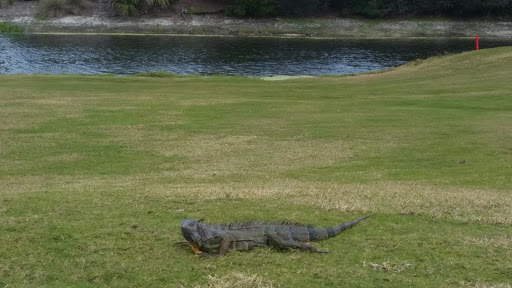 Golf Club «Plantation Preserve Golf Course & Club», reviews and photos, 7050 W Broward Blvd, Plantation, FL 33317, USA