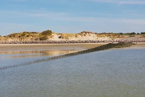 Baie d'Authie image