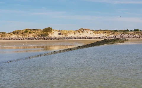 Baie d'Authie image