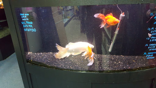 Pet Store «Petland Montgomery», reviews and photos, 7127 Eastchase Pkwy, Montgomery, AL 36117, USA