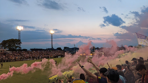 Stadium «Keyworth Stadium», reviews and photos, 3201 Roosevelt St, Hamtramck, MI 48212, USA