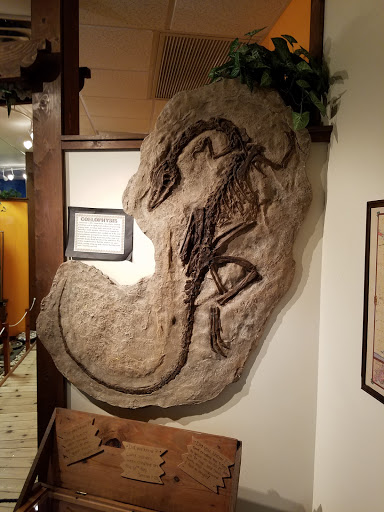 Museum «Creation Discovery Museum», reviews and photos, 2701 W Cypress Creek Rd, Fort Lauderdale, FL 33309, USA