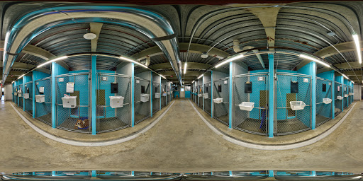 Kennel «Pampered Pets», reviews and photos, 601 Concord Ave, Charlottesville, VA 22903, USA