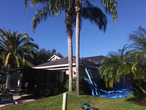 Park «Baybridge Park», reviews and photos, 10020 Bridgeton Dr, Westchase, FL 33626, USA