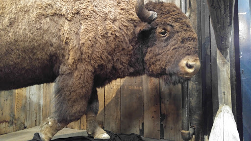 Museum «Ghost Town Museum», reviews and photos, 400 S 21st St, Colorado Springs, CO 80904, USA