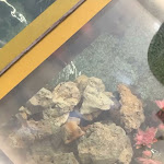 Photo n°1 de l'avis de Maria.e fait le 11/05/2024 à 21:20 sur le  Ristorante Orientale Huan à Castelfranco Veneto