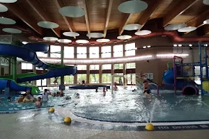 Roosevelt Swim Center image