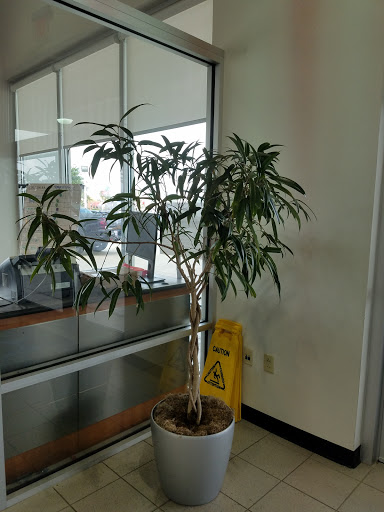 Honda Dealer «AutoNation Honda South Corpus Christi», reviews and photos, 6702 S Padre Island Dr, Corpus Christi, TX 78412, USA