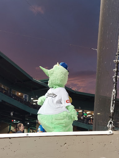 Stadium «Constellation Field», reviews and photos, 1 Stadium Dr, Sugar Land, TX 77498, USA