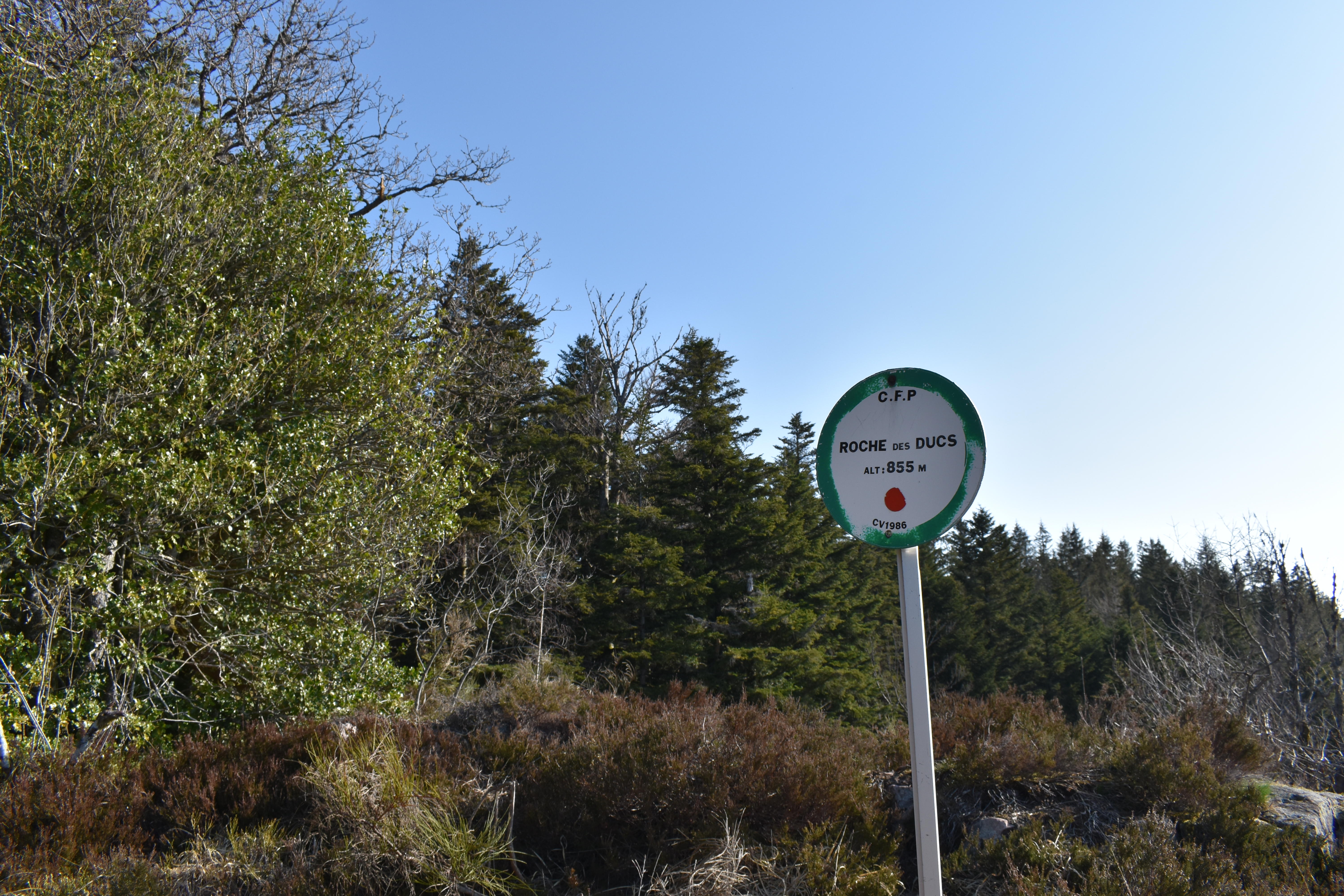 Photo n° 3 de l'avis de raphael.o fait le 01/04/2019 à 08:48