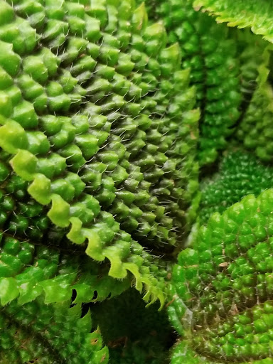 Home Improvement Store «The Home Depot», reviews and photos, 300 Clarks Pond Pkwy, South Portland, ME 04106, USA