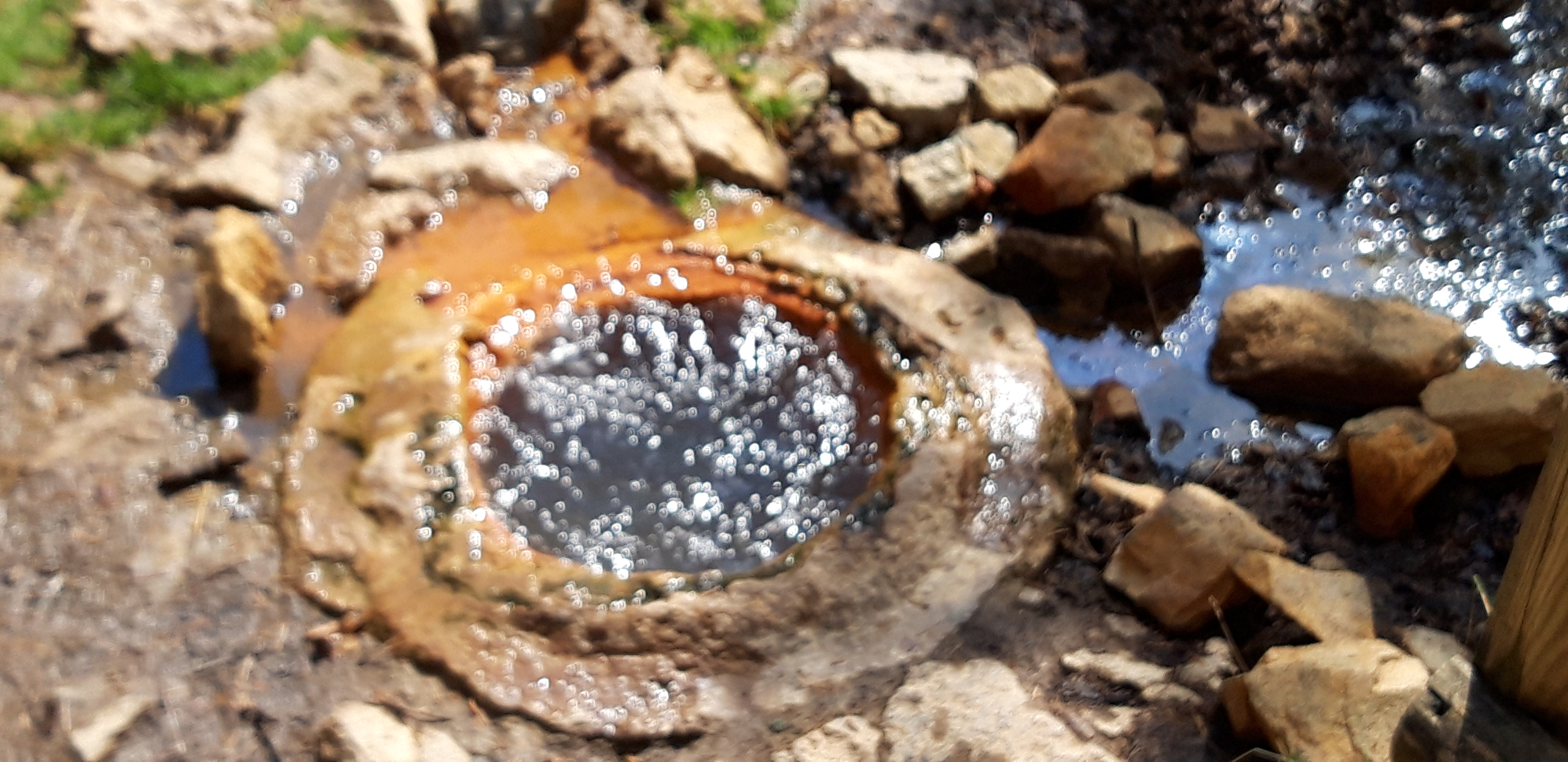Photo n° 1 de l'avis de Lau.o fait le 06/09/2019 à 11:15