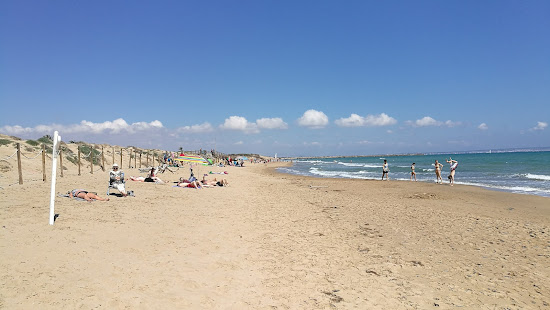 Playa Los Viveros