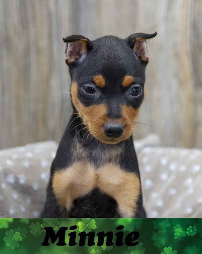 Pet Store «Pet Express», reviews and photos, 100 Independence Way, Danvers, MA 01923, USA