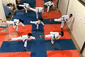 Academia Ki Karate Do image