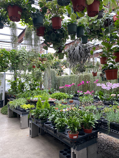 Orchid Grower «Orchid Dynasty», reviews and photos, 959 900 S, Salt Lake City, UT 84105, USA