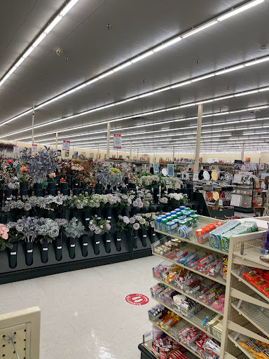 Craft Store «Hobby Lobby», reviews and photos, 2722 N Salisbury Blvd #1, Salisbury, MD 21801, USA
