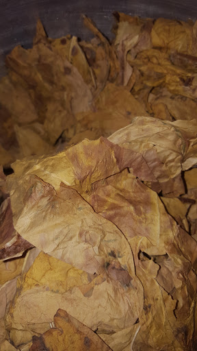 Tobacco Shop «Leaf Only», reviews and photos, 440 Middlefield St, Middletown, CT 06457, USA