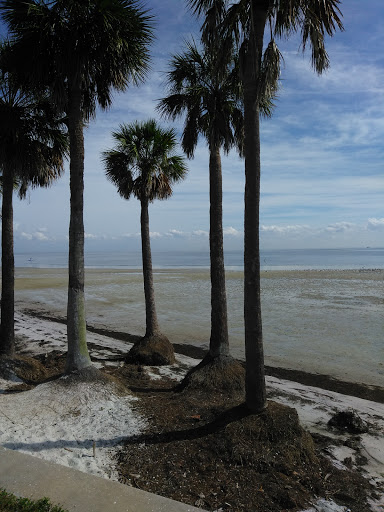 Park «Covington Park CDD», reviews and photos, 6806 Covington Garden Dr, Apollo Beach, FL 33572, USA