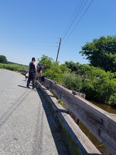 Boat Rental Service «Blackwater Paddle and Pedal Adventures», reviews and photos, 2524 Key Wallace Dr, Cambridge, MD 21613, USA